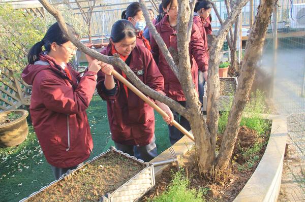 清理杂草 清理杂草